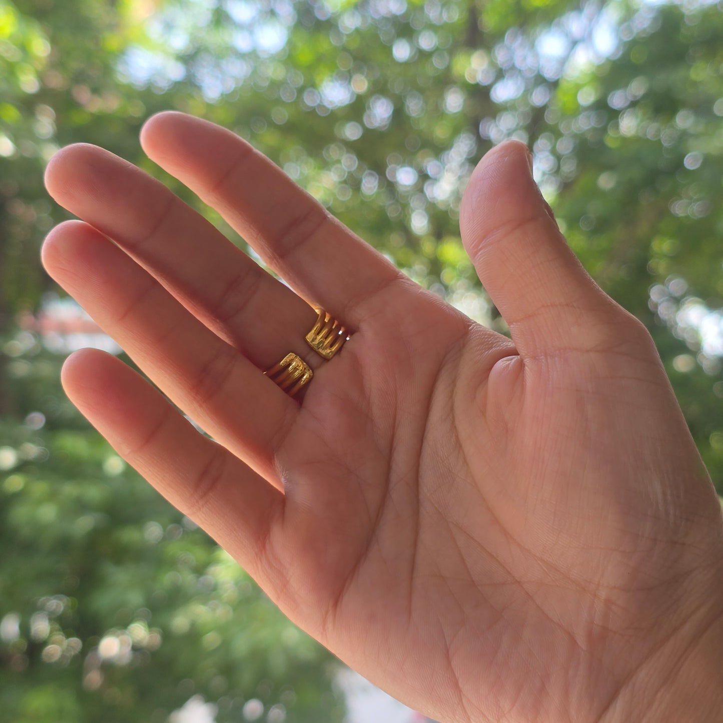 interwined ring