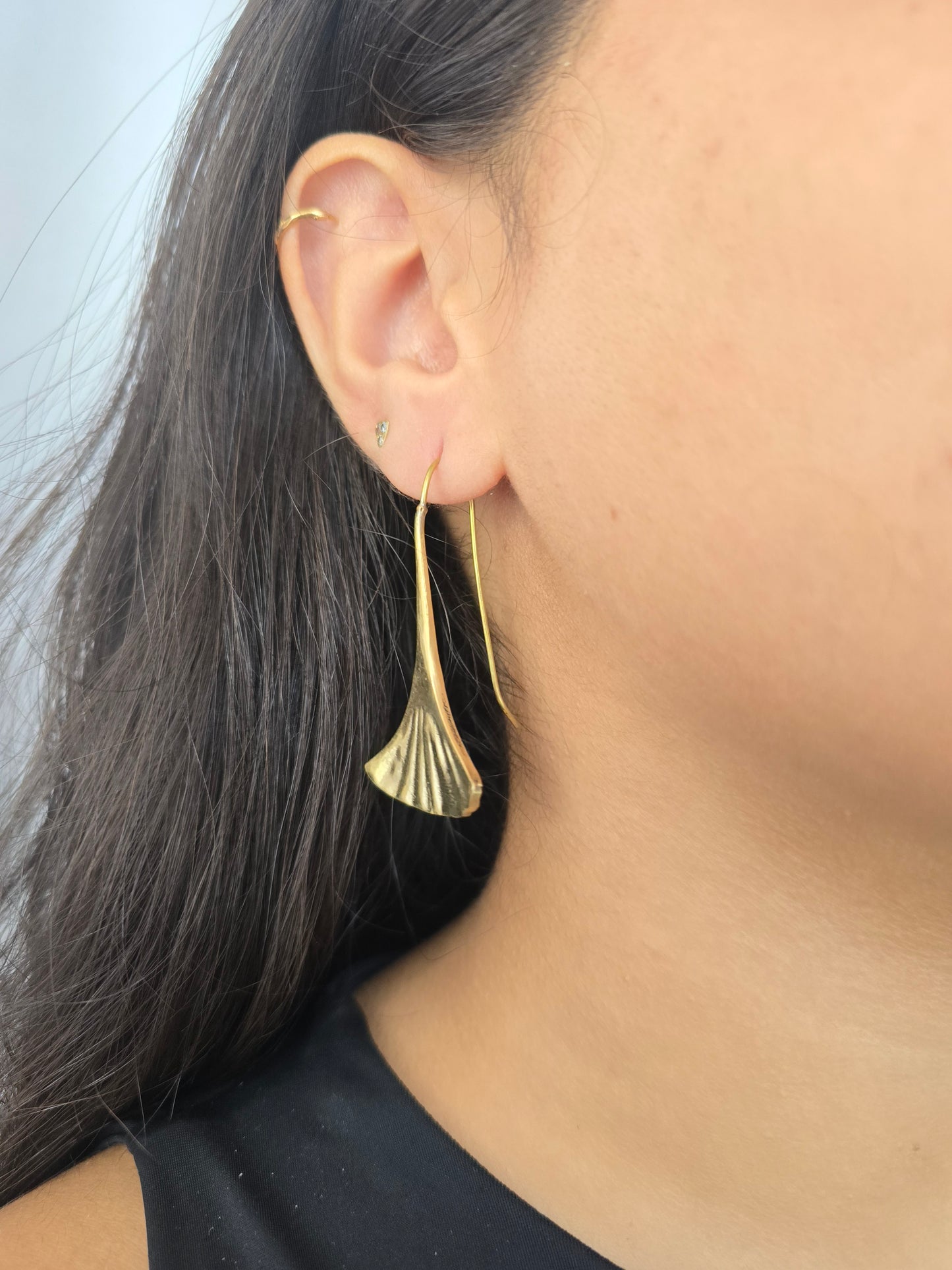 Nature's Symphony Set