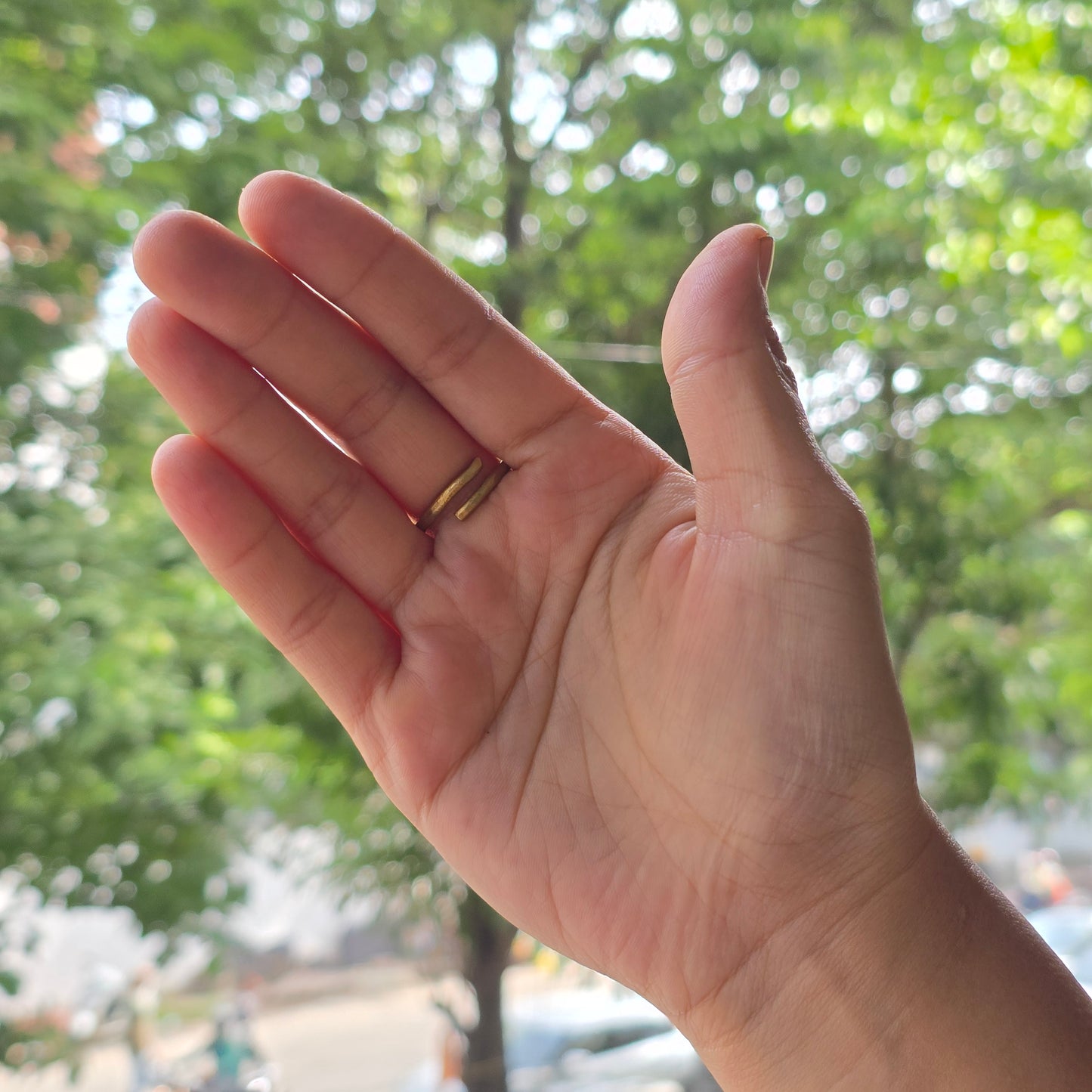 Nest ring - adjustable