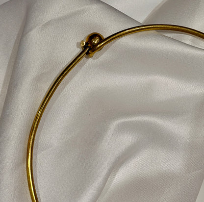 Fish Hansli Necklace