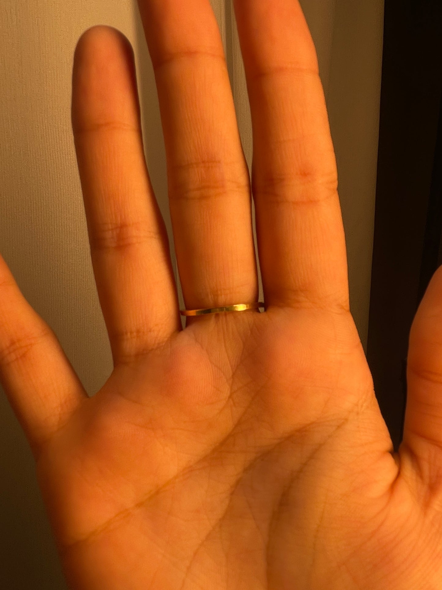 Twin Butterfly Open Ring