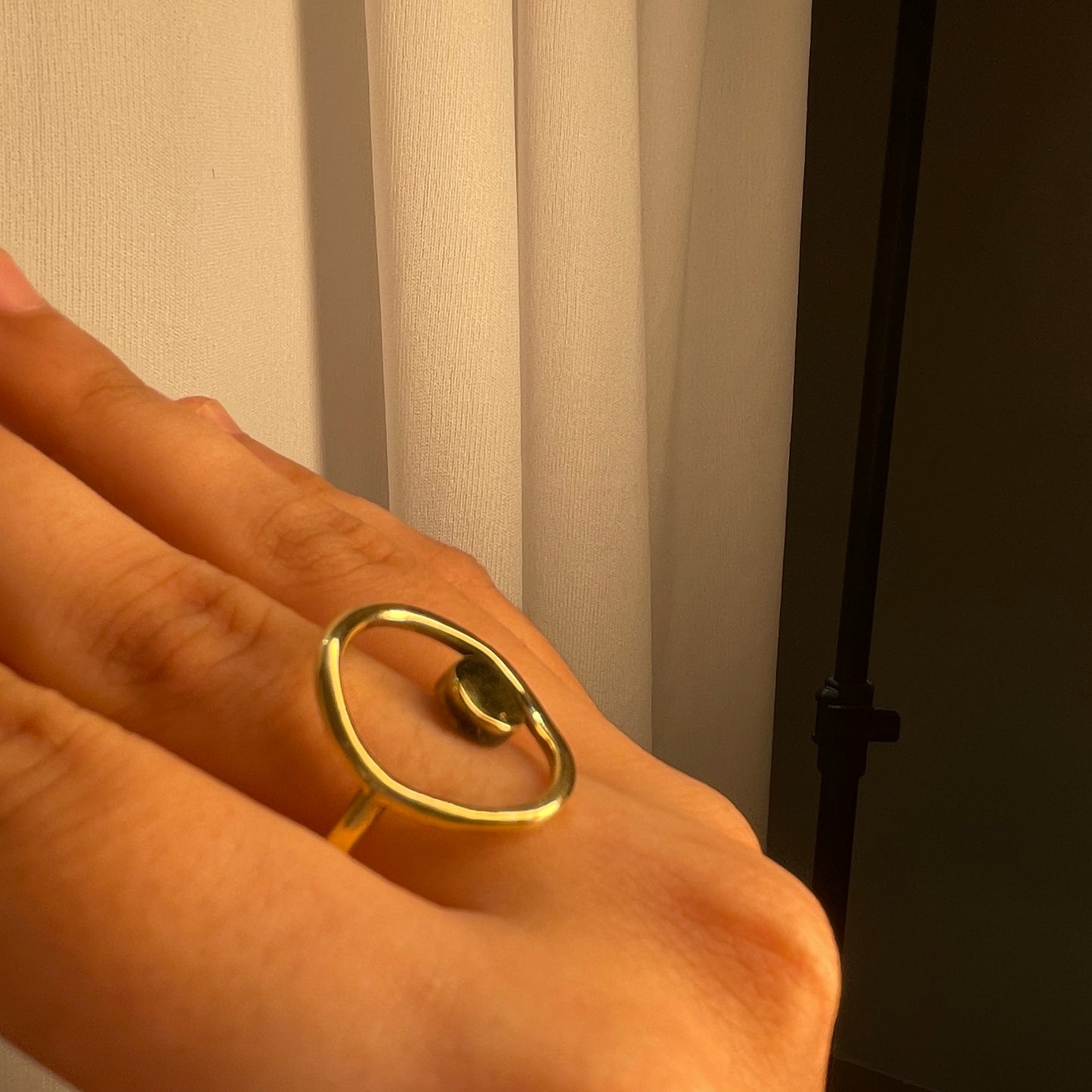 Orbital Ring