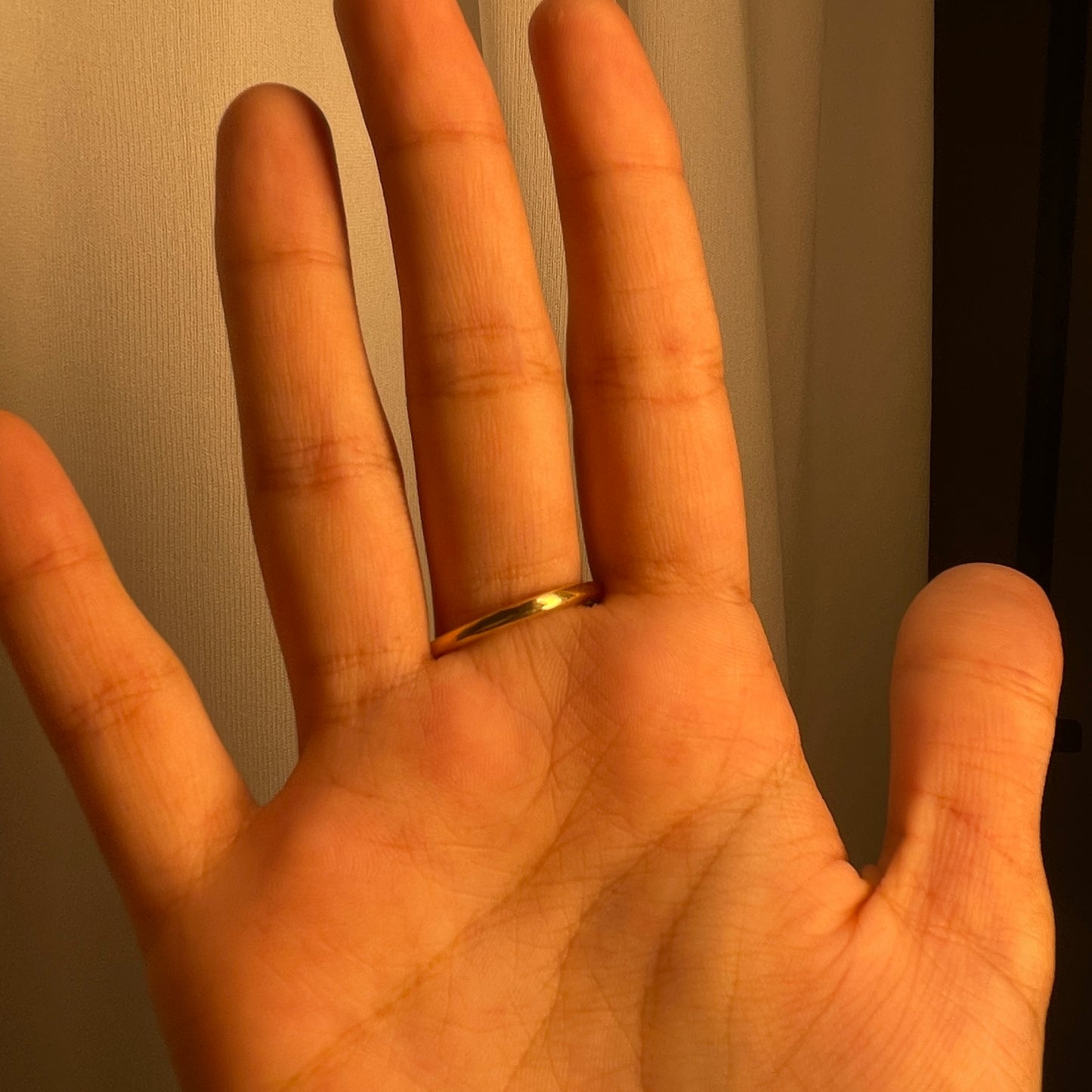 Orbital Ring