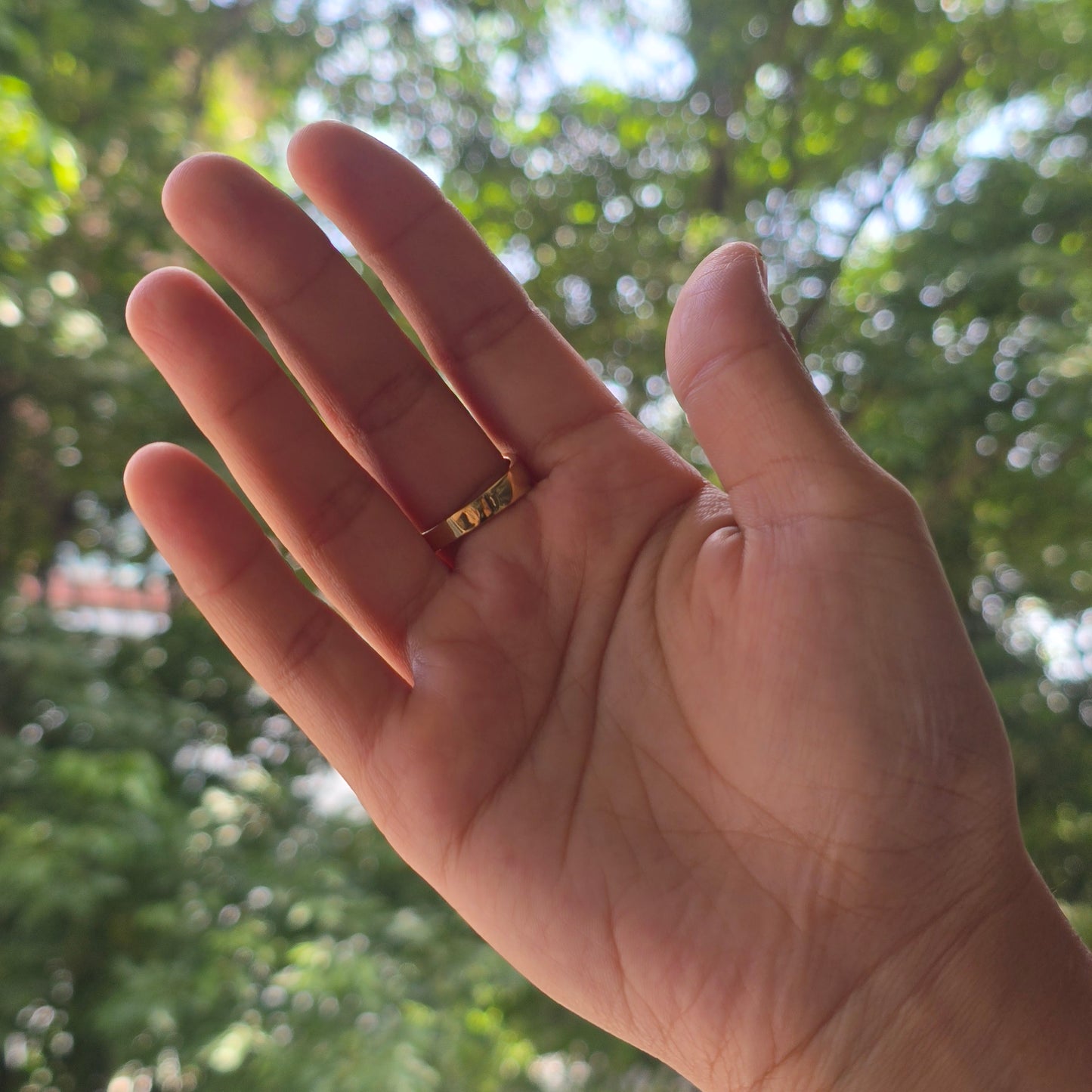 Circle ring - moonstone